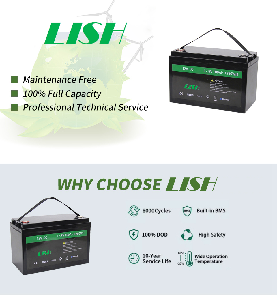 OEM Lifepo4 Battery Pack Lithium Battery Rechargeable