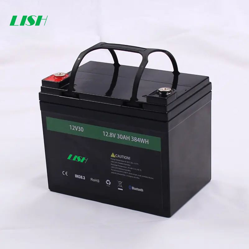 OEM Lifepo4 Battery Pack Lithium Battery Rechargeable