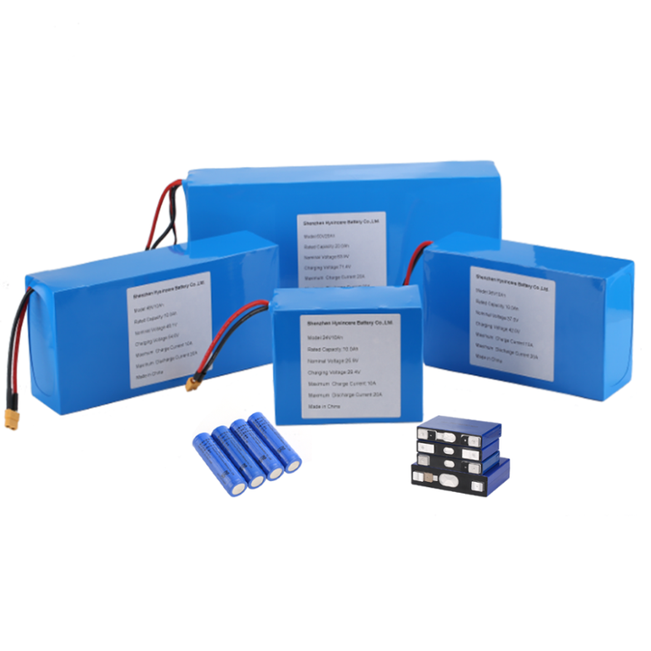 Lithium Ion Battery Pack 12v 24v