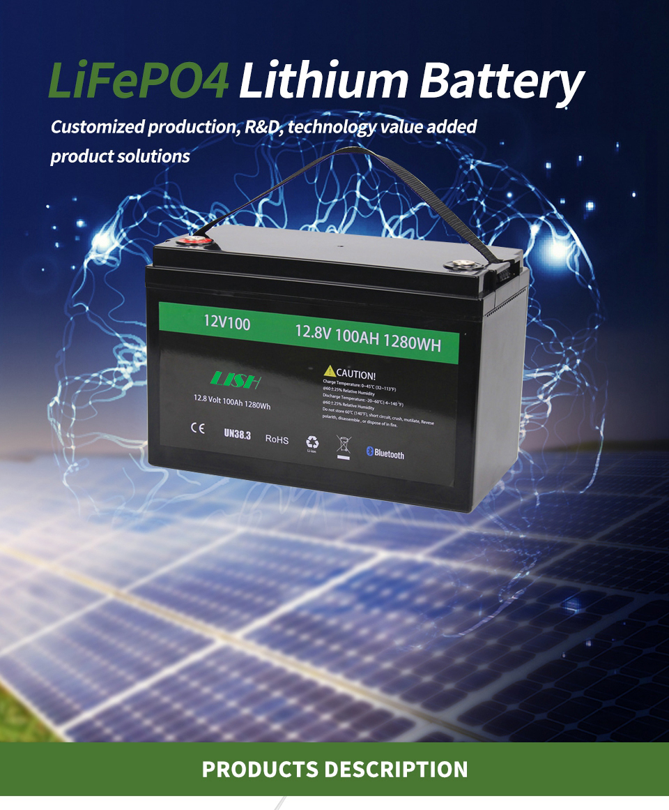 OEM Lifepo4 Battery Pack Lithium Battery Rechargeable