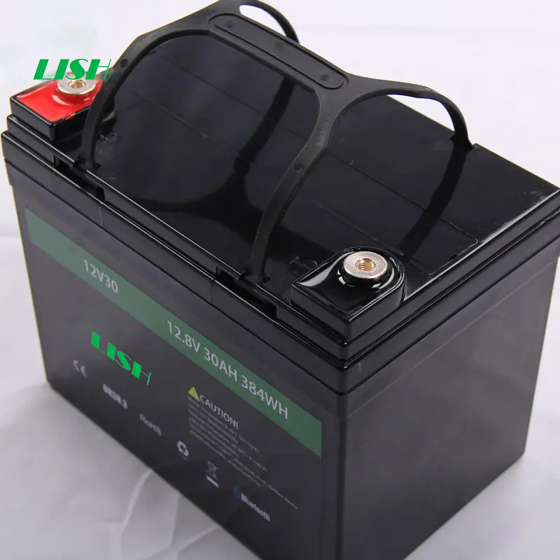 OEM Lifepo4 Battery Pack Lithium Battery Rechargeable