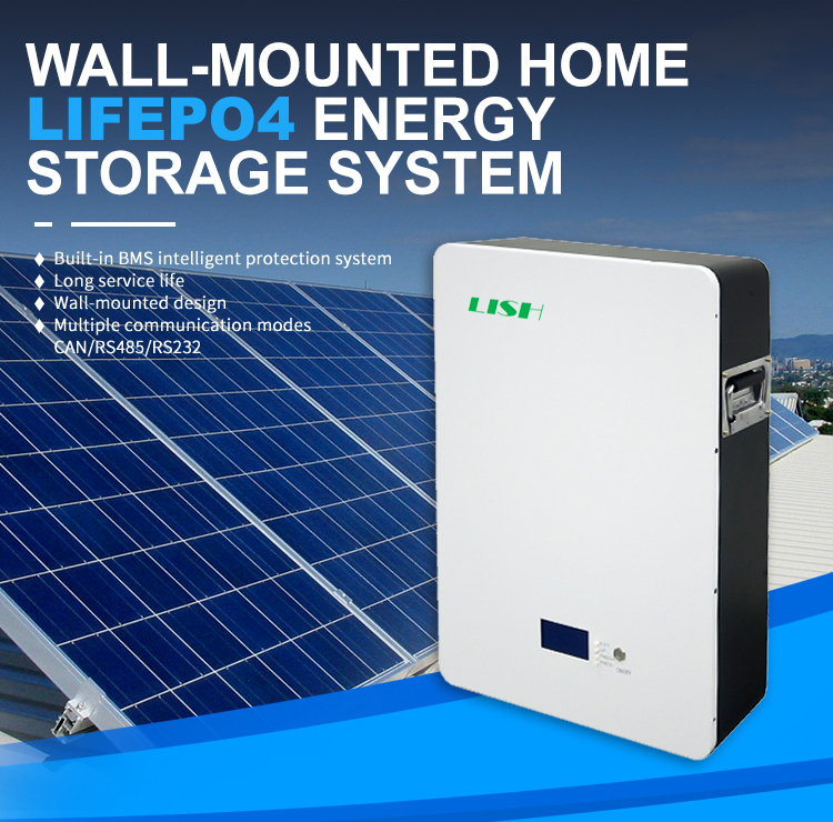 48V 100Ah BMS Wall-Mounted Lifepo4 Solar Battery