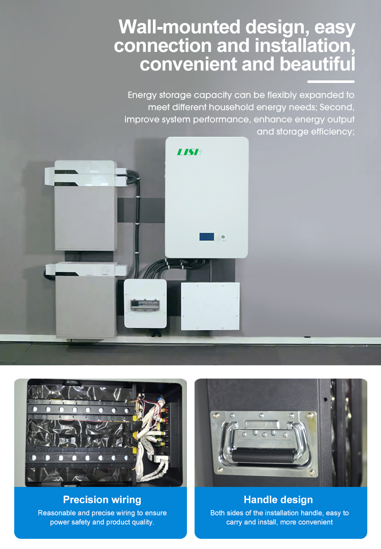 48V 100Ah BMS Wall-Mounted Lifepo4 Solar Battery