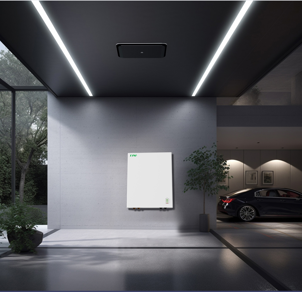 Home Wall-Mounted Battery