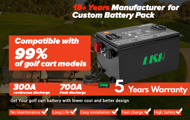  Lifepo4 Battery 60V Power Storage for AGV Carts