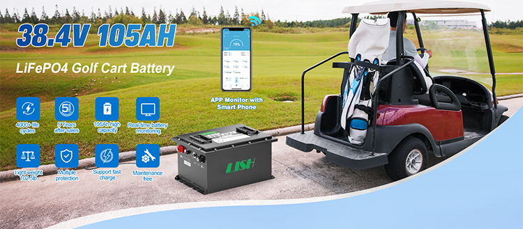 Deep 36V Cycle Lithium Ion Battery