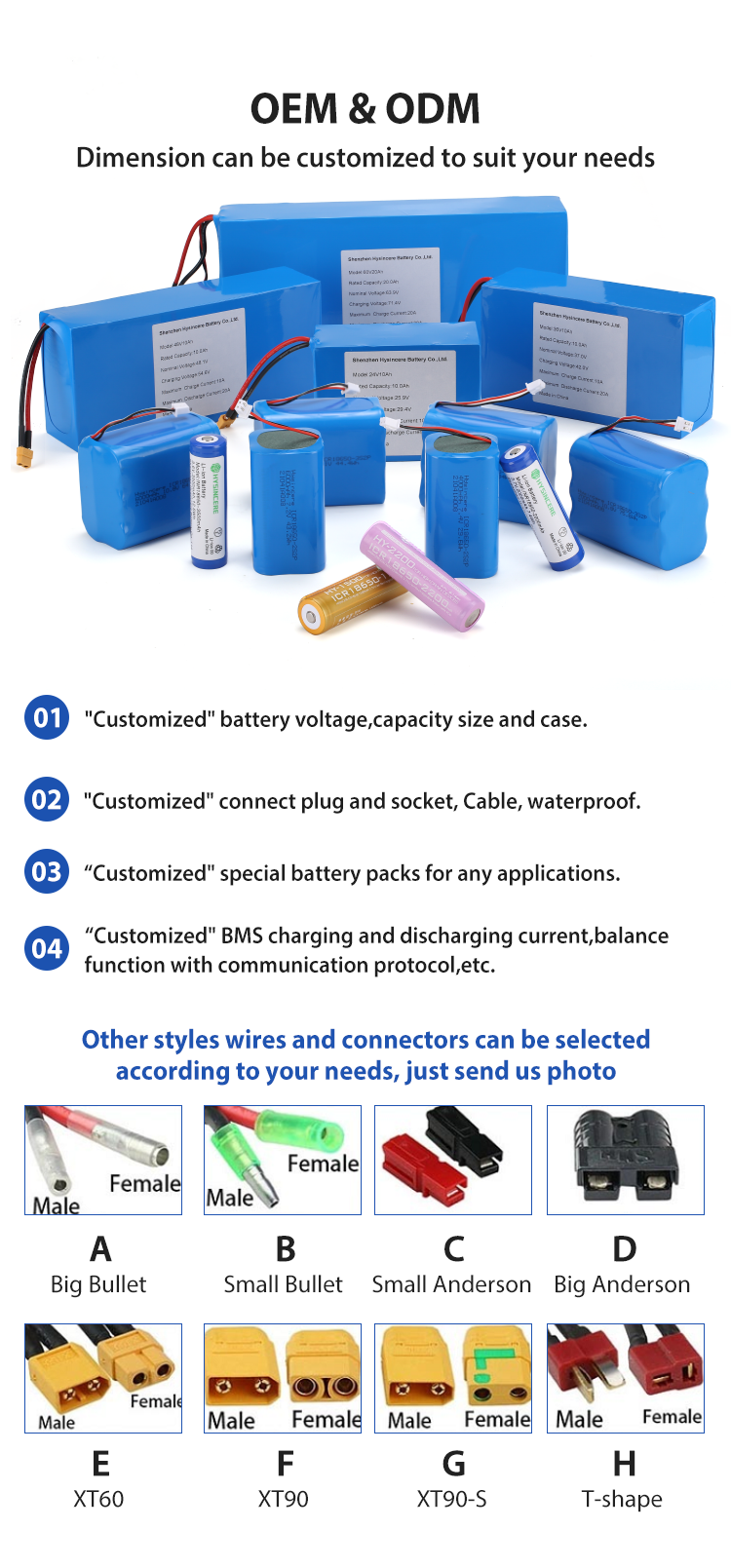 Ion Battery Pack 12v 24v