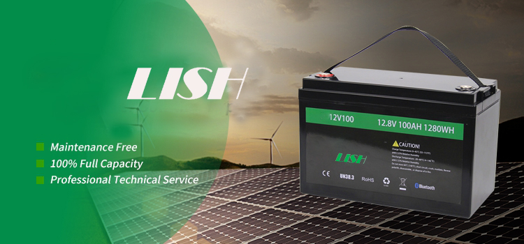OEM Lifepo4 Battery Pack Lithium Battery Rechargeable