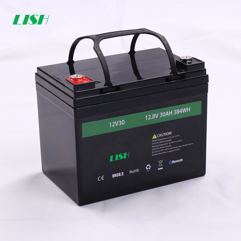 OEM Lifepo4 Battery Pack Lithium Battery Rechargeable
