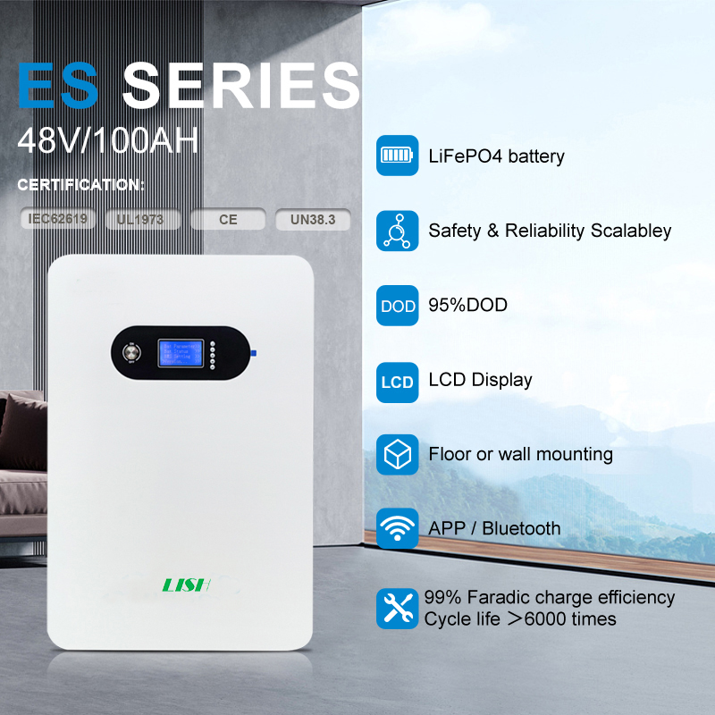 Wall Mounted 5KWH Lithium Ion Energy Storage System 