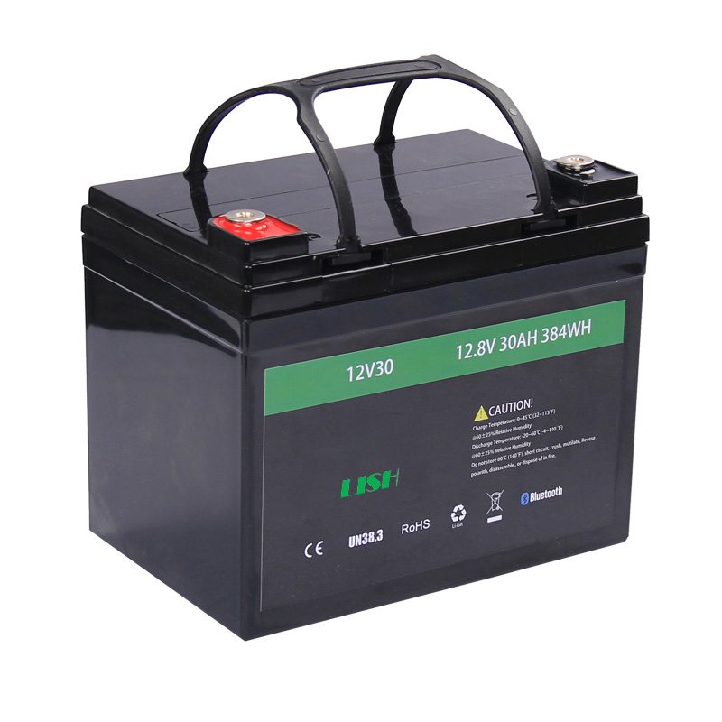 OEM Lifepo4 Battery Pack Lithium Battery Rechargeable