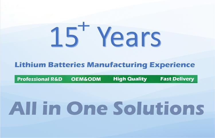  Lifepo4 15Ah Golf Cart Battery Pack Energy Storage Pack