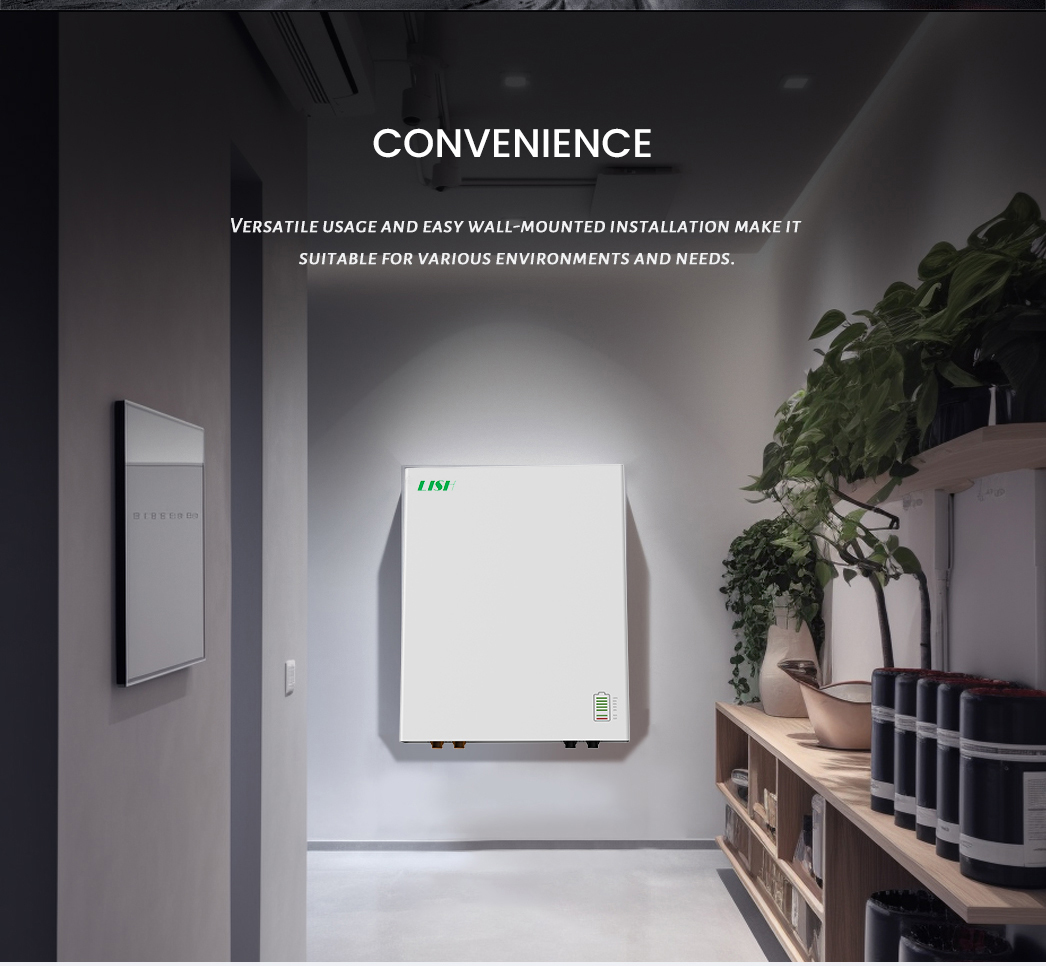 Home Wall-Mounted Battery