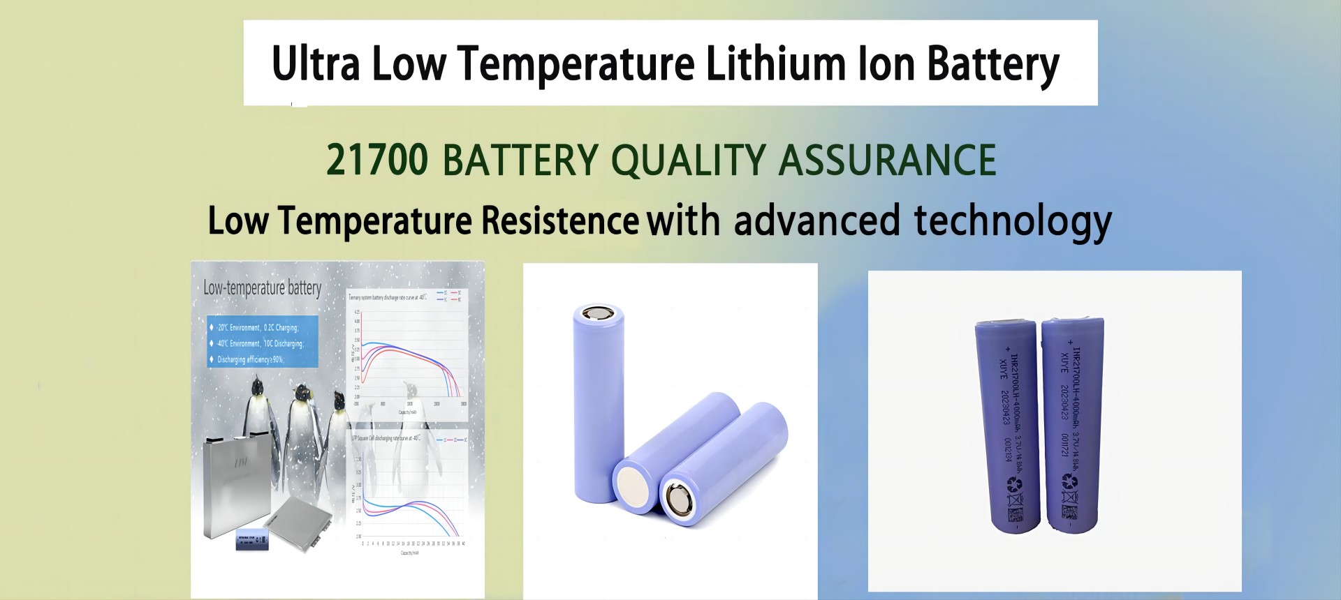 Low Temperature Battery