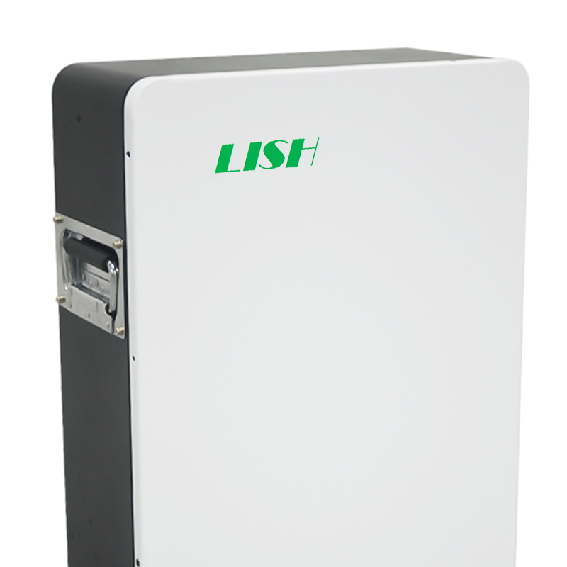 48V 100Ah BMS Wall-Mounted Lifepo4 Solar Battery